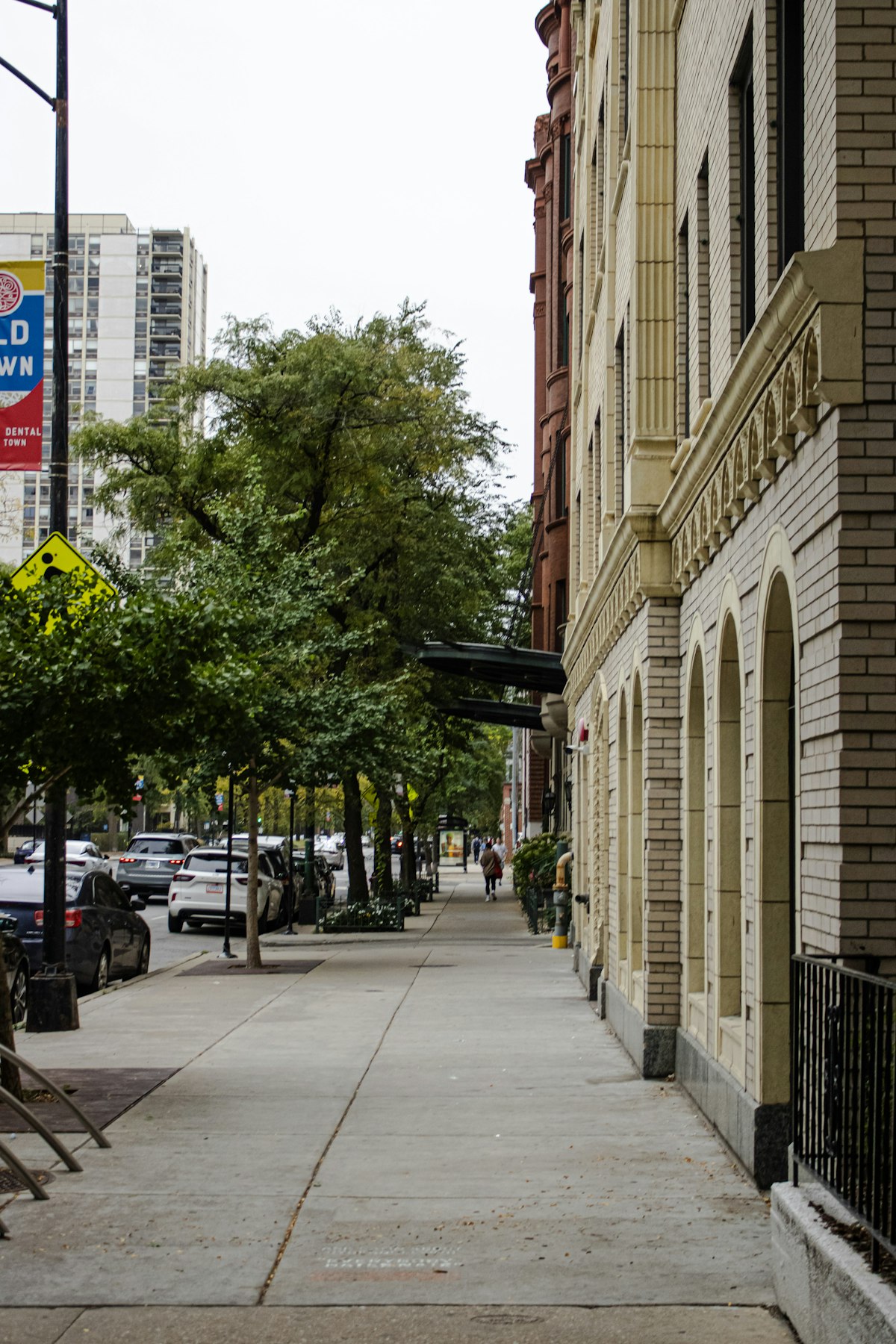 A tree-lined Chicago street with shops and pedestrians