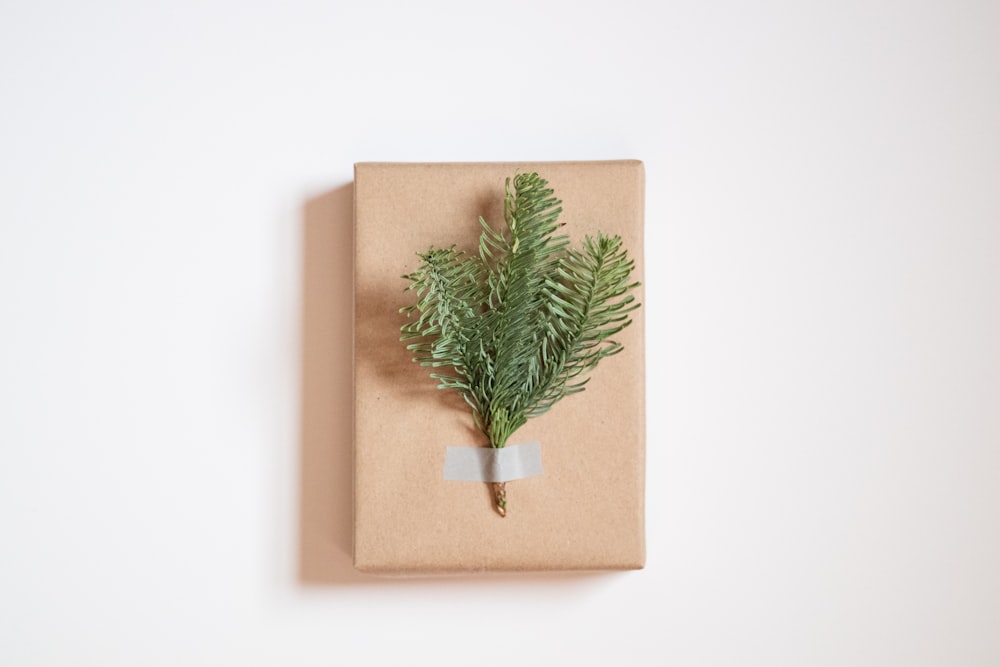 A wrapped present with a sprig of greenery on top